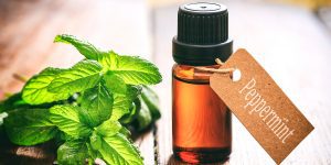 Peppermint Essential Oil | Narayan Wellness Pleasanton, CA